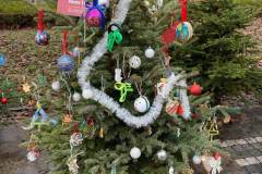 318657940_2383539945157762_2647112889921523212_n