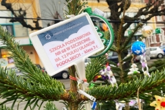 263782068_509132256842622_8831466585076220556_n