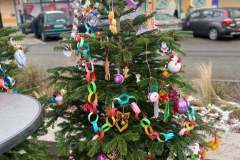 264588227_949198682359268_7429993696834270988_n