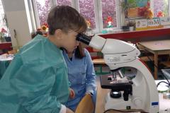 mikroskop_6