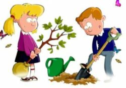 drzewko plakat 566x800 1 e1679903481129