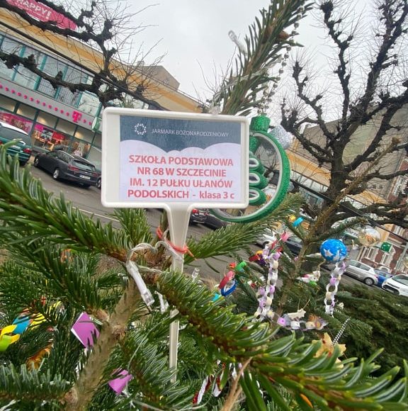 264374143 1314108065692669 1464524403109828767 n