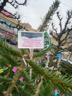 264374143 1314108065692669 1464524403109828767 n e1639124331367