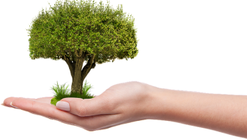 sadzenie baner e1744547986356